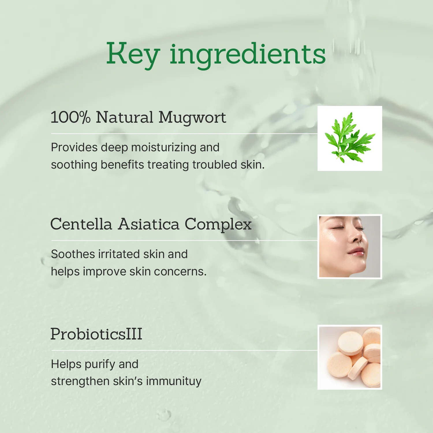 Test_Mugwort Toner - Image 3