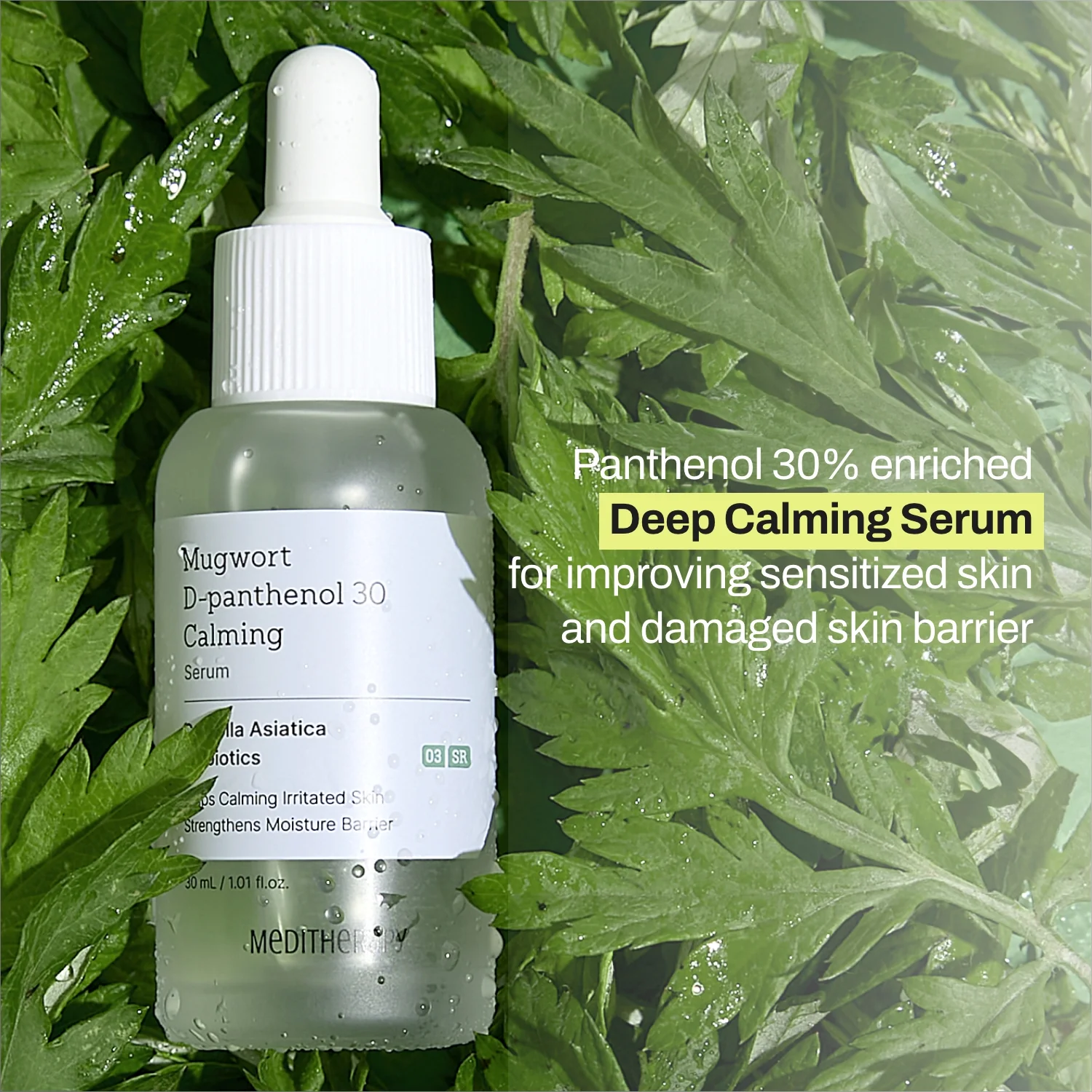 Mugwort Super Calming Toner + Serum - Image 13