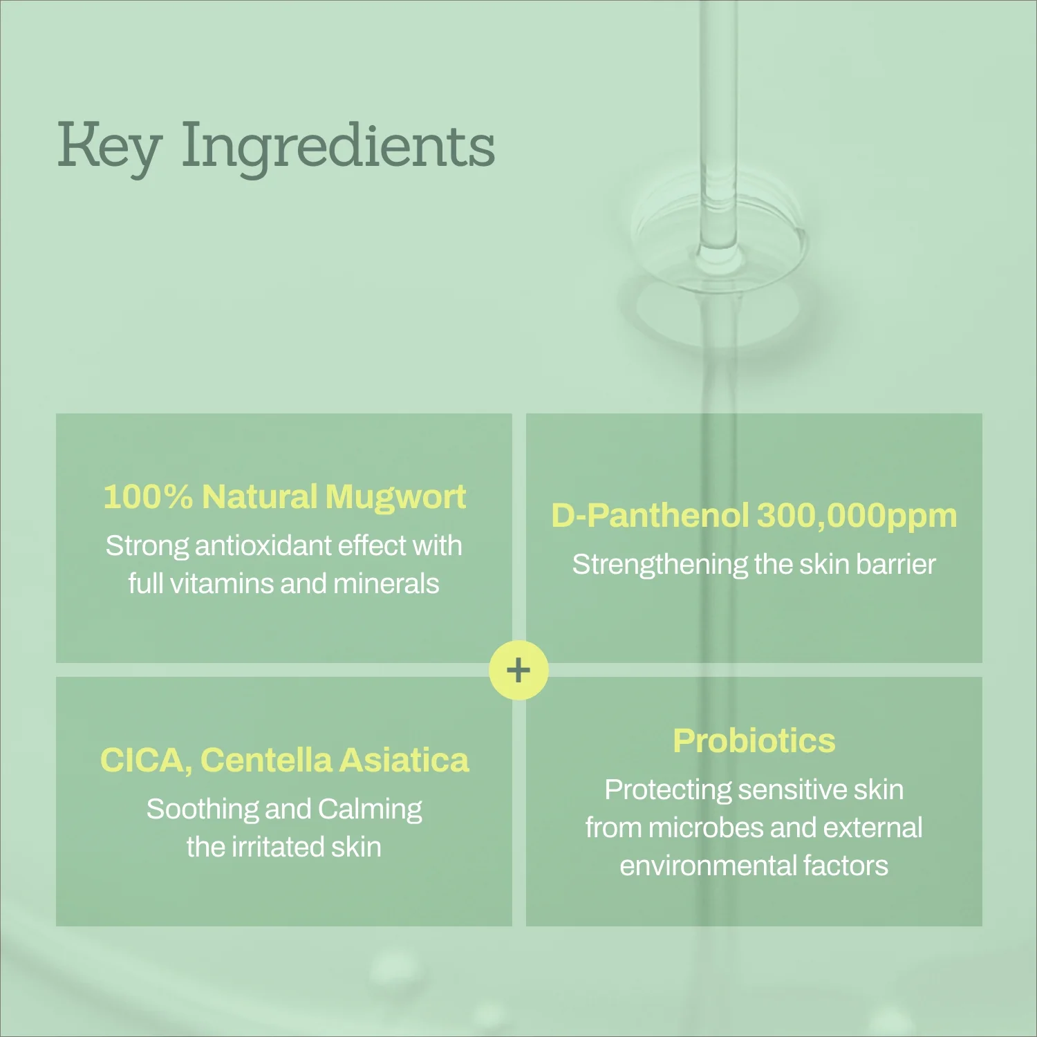 Mugwort Super Calming Toner + Serum - Image 9
